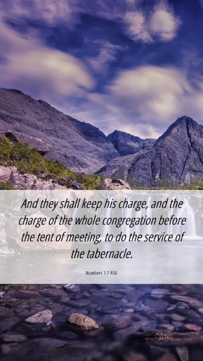 Picture 06 - Numbers 3:7 ASV Mobile Phone Wallpaper - And they shall keep his charge, and the charge of - Mobile Bible Verse Wallpaper