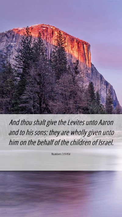 Picture 06 - Numbers 3:9 ASV Mobile Phone Wallpaper - And thou shalt give the Levites unto Aaron and to - Mobile Bible Verse Wallpaper