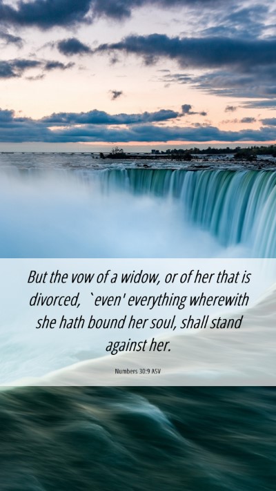 Picture 06 - Numbers 30:9 ASV Mobile Phone Wallpaper - But the vow of a widow, or of her that is - Mobile Bible Verse Wallpaper