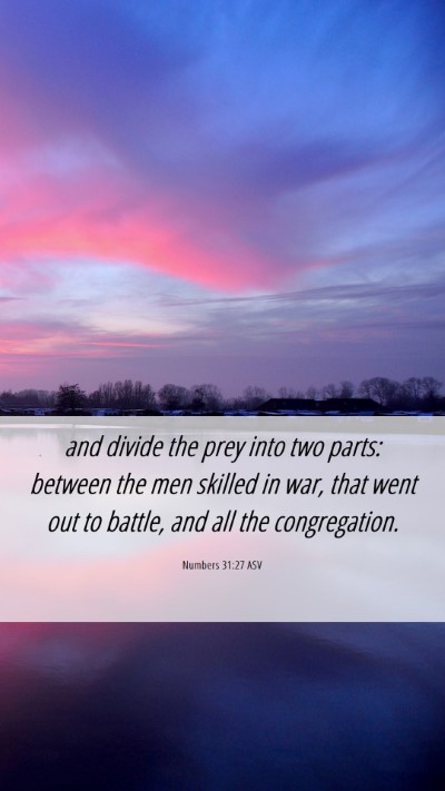 Picture 06 - Numbers 31:27 ASV Mobile Phone Wallpaper - and divide the prey into two parts: between the - Mobile Bible Verse Wallpaper