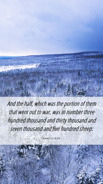 Picture 06 - Numbers 31:36 ASV Mobile Phone Wallpaper - And the half, which was the portion of them that - Mobile Bible Verse Wallpaper