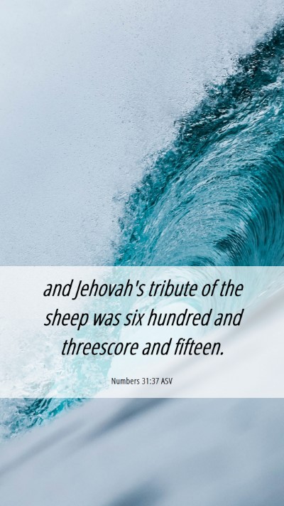 Picture 06 - Numbers 31:37 ASV Mobile Phone Wallpaper - and Jehovah's tribute of the sheep was six - Mobile Bible Verse Wallpaper