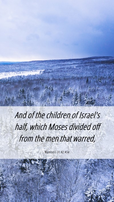 Picture 06 - Numbers 31:42 ASV Mobile Phone Wallpaper - And of the children of Israel's half, which Moses - Mobile Bible Verse Wallpaper