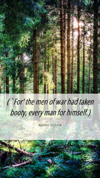 Picture 06 - Numbers 31:53 ASV Mobile Phone Wallpaper - (`For' the men of war had taken booty, every man - Mobile Bible Verse Wallpaper
