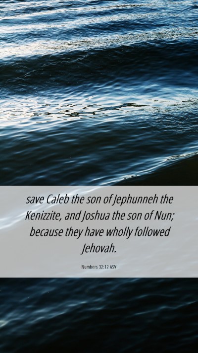 Picture 06 - Numbers 32:12 ASV Mobile Phone Wallpaper - save Caleb the son of Jephunneh the Kenizzite, - Mobile Bible Verse Wallpaper
