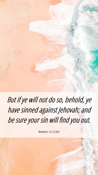 Picture 06 - Numbers 32:23 ASV Mobile Phone Wallpaper - But if ye will not do so, behold, ye have sinned - Mobile Bible Verse Wallpaper