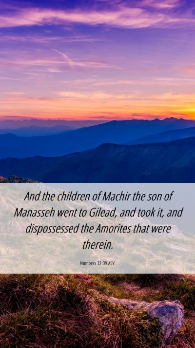 Picture 06 - Numbers 32:39 ASV Mobile Phone Wallpaper - And the children of Machir the son of Manasseh - Mobile Bible Verse Wallpaper