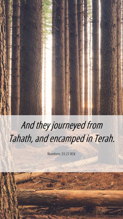 Picture 06 - Numbers 33:27 ASV Mobile Phone Wallpaper - And they journeyed from Tahath, and encamped in - Mobile Bible Verse Wallpaper