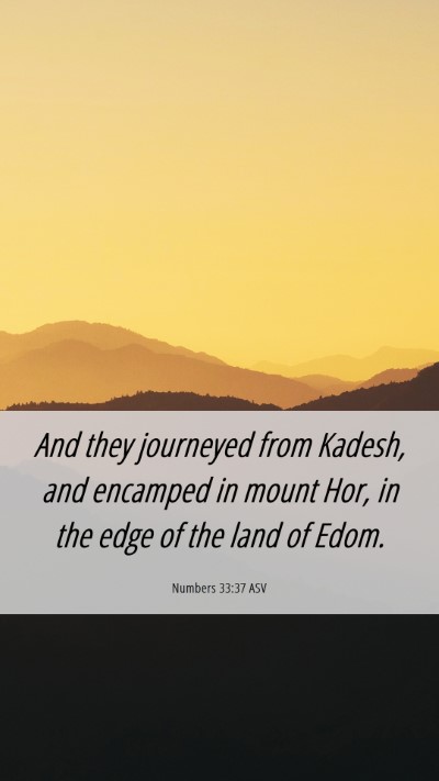 Picture 06 - Numbers 33:37 ASV Mobile Phone Wallpaper - And they journeyed from Kadesh, and encamped in - Mobile Bible Verse Wallpaper