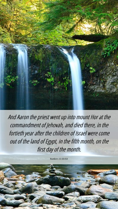 Picture 06 - Numbers 33:38 ASV Mobile Phone Wallpaper - And Aaron the priest went up into mount Hor at - Mobile Bible Verse Wallpaper
