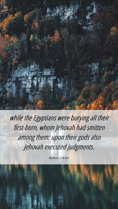 Picture 06 - Numbers 33:4 ASV Mobile Phone Wallpaper - while the Egyptians were burying all their - Mobile Bible Verse Wallpaper