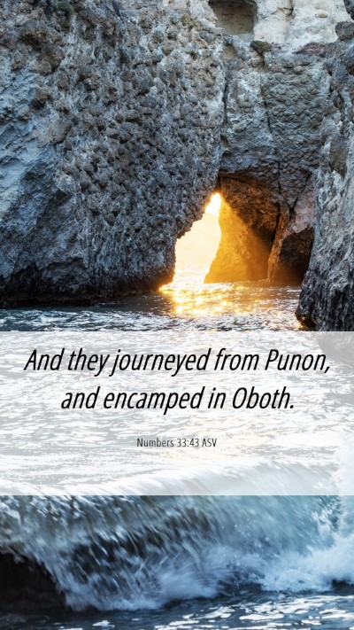 Picture 06 - Numbers 33:43 ASV Mobile Phone Wallpaper - And they journeyed from Punon, and encamped in - Mobile Bible Verse Wallpaper