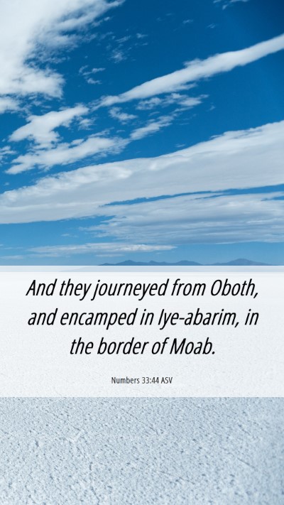 Picture 06 - Numbers 33:44 ASV Mobile Phone Wallpaper - And they journeyed from Oboth, and encamped in - Mobile Bible Verse Wallpaper