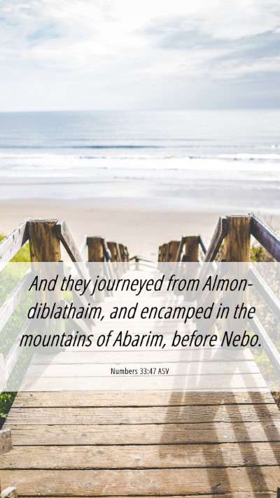 Picture 06 - Numbers 33:47 ASV Mobile Phone Wallpaper - And they journeyed from Almon-diblathaim, and - Mobile Bible Verse Wallpaper