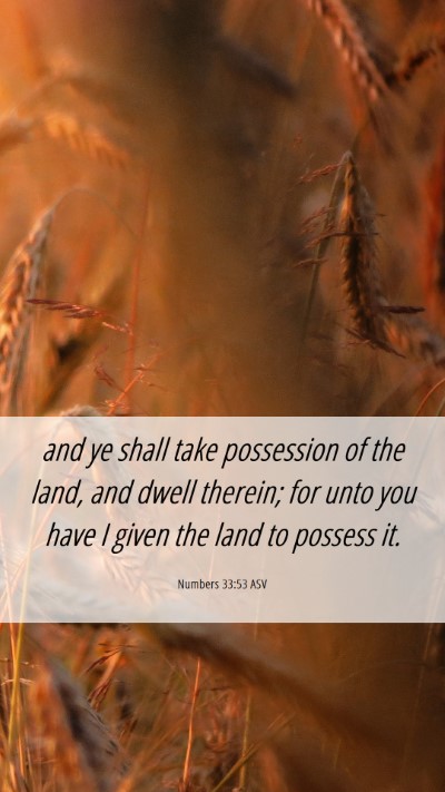 Picture 06 - Numbers 33:53 ASV Mobile Phone Wallpaper - and ye shall take possession of the land, and - Mobile Bible Verse Wallpaper