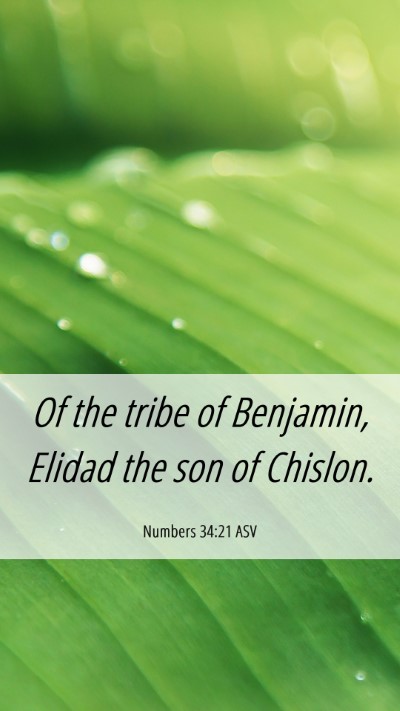 Picture 06 - Numbers 34:21 ASV Mobile Phone Wallpaper - Of the tribe of Benjamin, Elidad the son of - Mobile Bible Verse Wallpaper
