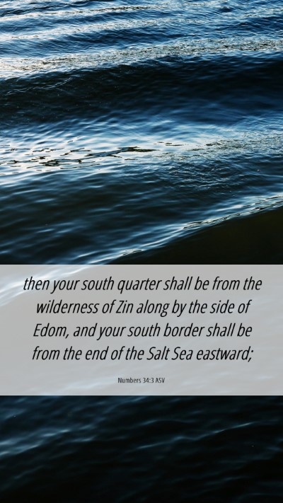 Picture 06 - Numbers 34:3 ASV Mobile Phone Wallpaper - then your south quarter shall be from the - Mobile Bible Verse Wallpaper