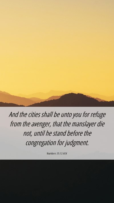 Picture 06 - Numbers 35:12 ASV Mobile Phone Wallpaper - And the cities shall be unto you for refuge from - Mobile Bible Verse Wallpaper