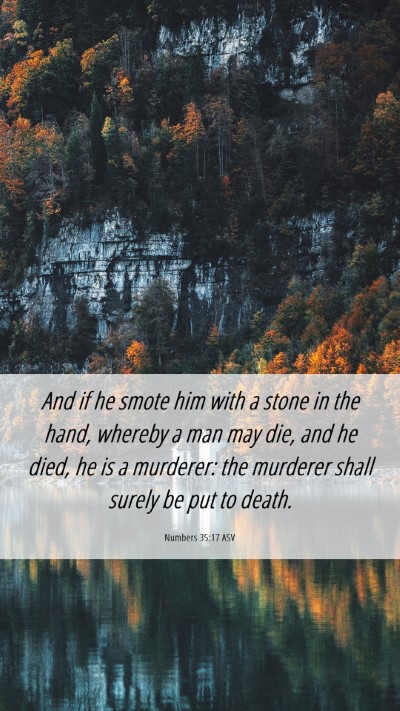 Picture 06 - Numbers 35:17 ASV Mobile Phone Wallpaper - And if he smote him with a stone in the hand, - Mobile Bible Verse Wallpaper