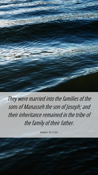 Picture 06 - Numbers 36:12 ASV Mobile Phone Wallpaper - They were married into the families of the sons - Mobile Bible Verse Wallpaper