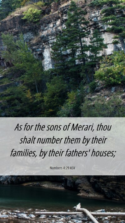 Picture 06 - Numbers 4:29 ASV Mobile Phone Wallpaper - As for the sons of Merari, thou shalt number them - Mobile Bible Verse Wallpaper