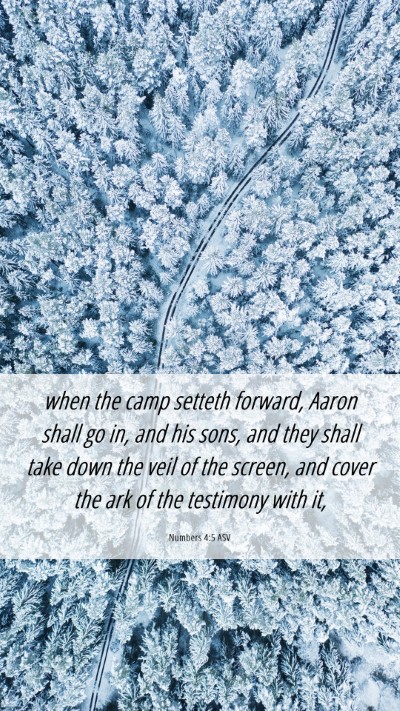 Picture 06 - Numbers 4:5 ASV Mobile Phone Wallpaper - when the camp setteth forward, Aaron shall go in, - Mobile Bible Verse Wallpaper