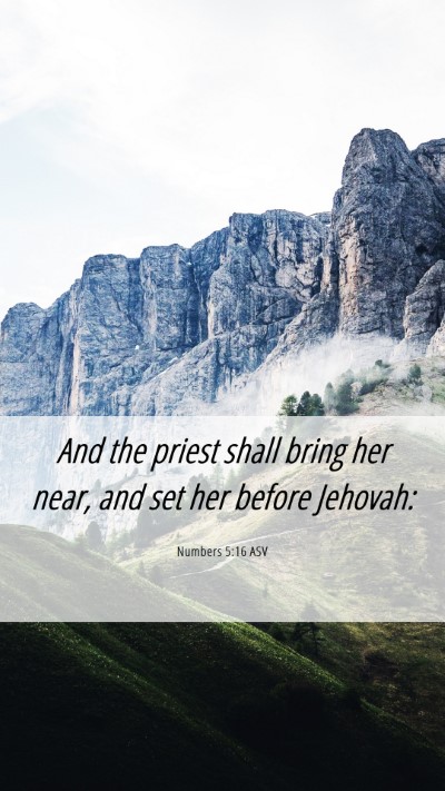 Picture 06 - Numbers 5:16 ASV Mobile Phone Wallpaper - And the priest shall bring her near, and set her - Mobile Bible Verse Wallpaper