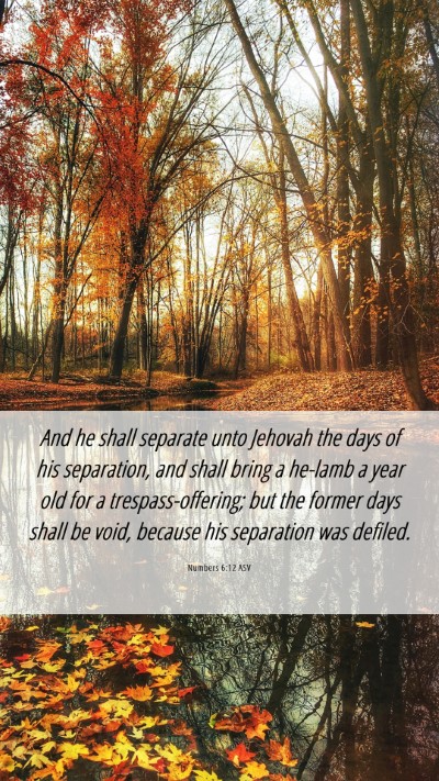 Picture 06 - Numbers 6:12 ASV Mobile Phone Wallpaper - And he shall separate unto Jehovah the days of - Mobile Bible Verse Wallpaper