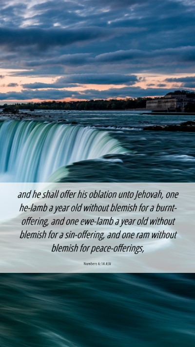Picture 06 - Numbers 6:14 ASV Mobile Phone Wallpaper - and he shall offer his oblation unto Jehovah, one - Mobile Bible Verse Wallpaper