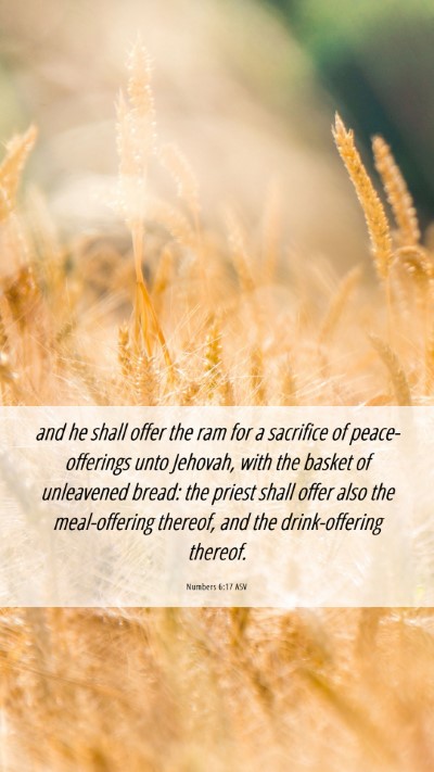 Picture 06 - Numbers 6:17 ASV Mobile Phone Wallpaper - and he shall offer the ram for a sacrifice of - Mobile Bible Verse Wallpaper