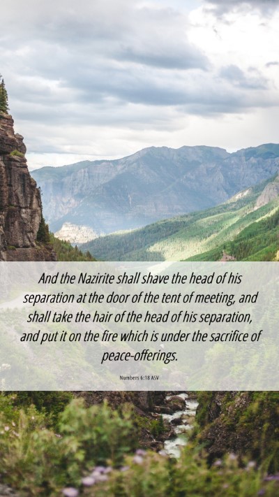 Picture 06 - Numbers 6:18 ASV Mobile Phone Wallpaper - And the Nazirite shall shave the head of his - Mobile Bible Verse Wallpaper