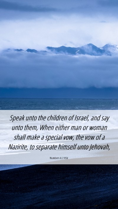 Picture 06 - Numbers 6:2 ASV Mobile Phone Wallpaper - Speak unto the children of Israel, and say unto - Mobile Bible Verse Wallpaper