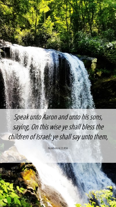 Picture 06 - Numbers 6:23 ASV Mobile Phone Wallpaper - Speak unto Aaron and unto his sons, saying, On - Mobile Bible Verse Wallpaper