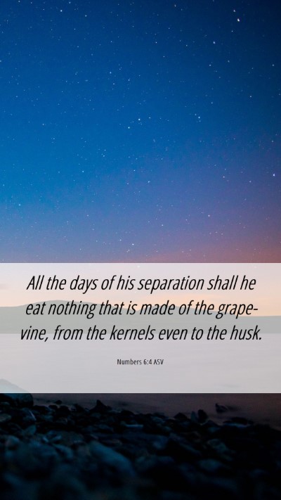 Picture 06 - Numbers 6:4 ASV Mobile Phone Wallpaper - All the days of his separation shall he eat - Mobile Bible Verse Wallpaper