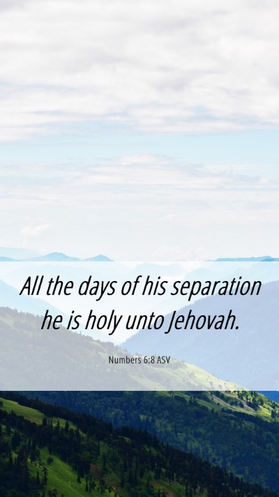 Picture 06 - Numbers 6:8 ASV Mobile Phone Wallpaper - All the days of his separation he is holy unto - Mobile Bible Verse Wallpaper