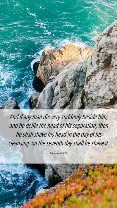 Picture 06 - Numbers 6:9 ASV Mobile Phone Wallpaper - And if any man die very suddenly beside him, and - Mobile Bible Verse Wallpaper