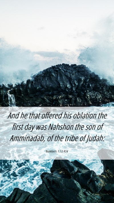 Picture 06 - Numbers 7:12 ASV Mobile Phone Wallpaper - And he that offered his oblation the first day - Mobile Bible Verse Wallpaper