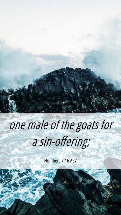 Picture 06 - Numbers 7:16 ASV Mobile Phone Wallpaper - one male of the goats for a - Mobile Bible Verse Wallpaper