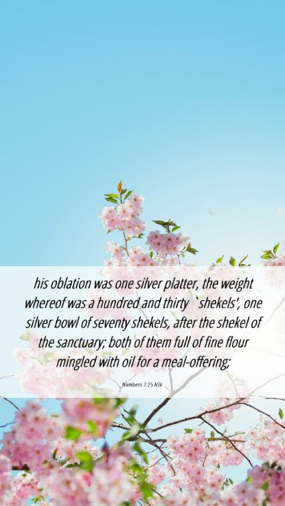 Picture 06 - Numbers 7:25 ASV Mobile Phone Wallpaper - his oblation was one silver platter, the weight - Mobile Bible Verse Wallpaper