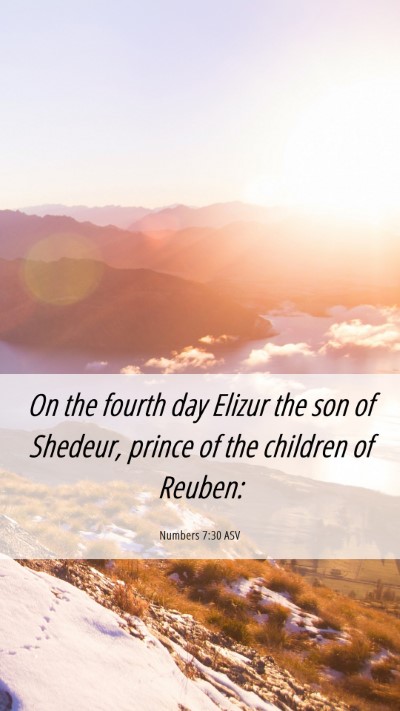 Picture 06 - Numbers 7:30 ASV Mobile Phone Wallpaper - On the fourth day Elizur the son of Shedeur, - Mobile Bible Verse Wallpaper
