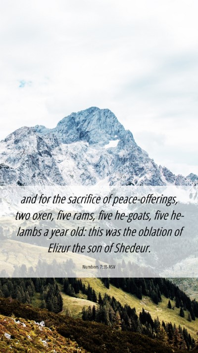 Picture 06 - Numbers 7:35 ASV Mobile Phone Wallpaper - and for the sacrifice of peace-offerings, two - Mobile Bible Verse Wallpaper