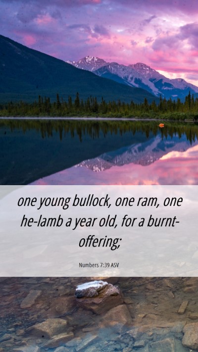 Picture 06 - Numbers 7:39 ASV Mobile Phone Wallpaper - one young bullock, one ram, one he-lamb a year - Mobile Bible Verse Wallpaper