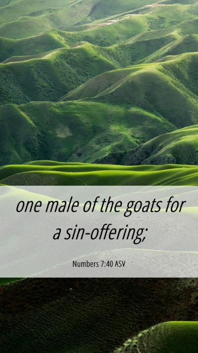 Picture 06 - Numbers 7:40 ASV Mobile Phone Wallpaper - one male of the goats for a - Mobile Bible Verse Wallpaper