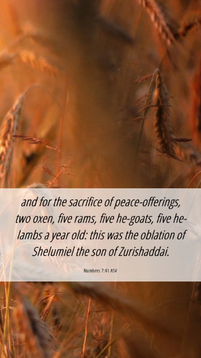 Picture 06 - Numbers 7:41 ASV Mobile Phone Wallpaper - and for the sacrifice of peace-offerings, two - Mobile Bible Verse Wallpaper