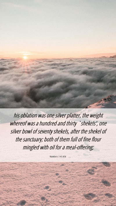 Picture 06 - Numbers 7:43 ASV Mobile Phone Wallpaper - his oblation was one silver platter, the weight - Mobile Bible Verse Wallpaper