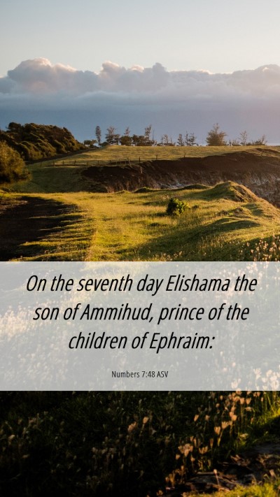 Picture 06 - Numbers 7:48 ASV Mobile Phone Wallpaper - On the seventh day Elishama the son of Ammihud, - Mobile Bible Verse Wallpaper