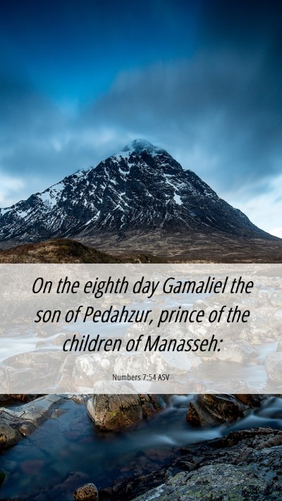 Picture 06 - Numbers 7:54 ASV Mobile Phone Wallpaper - On the eighth day Gamaliel the son of Pedahzur, - Mobile Bible Verse Wallpaper