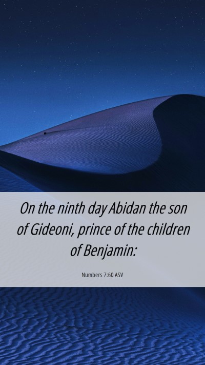 Picture 06 - Numbers 7:60 ASV Mobile Phone Wallpaper - On the ninth day Abidan the son of Gideoni, - Mobile Bible Verse Wallpaper