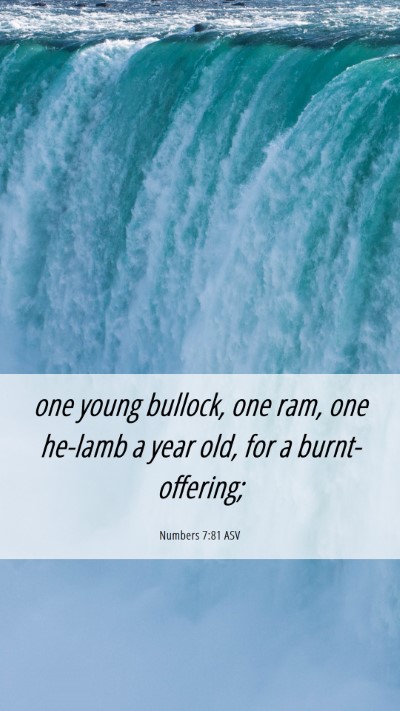 Picture 06 - Numbers 7:81 ASV Mobile Phone Wallpaper - one young bullock, one ram, one he-lamb a year - Mobile Bible Verse Wallpaper