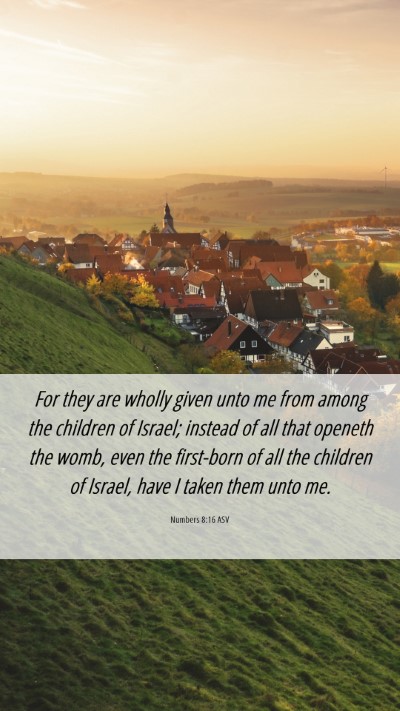 Picture 06 - Numbers 8:16 ASV Mobile Phone Wallpaper - For they are wholly given unto me from among the - Mobile Bible Verse Wallpaper